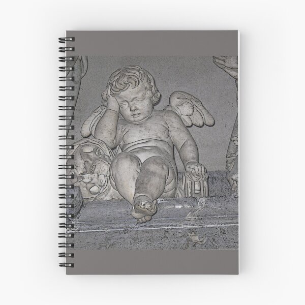 Item preview, France. Amiens. Amiens Cathedral. Weeping Angel. designed and sold by vadim19.