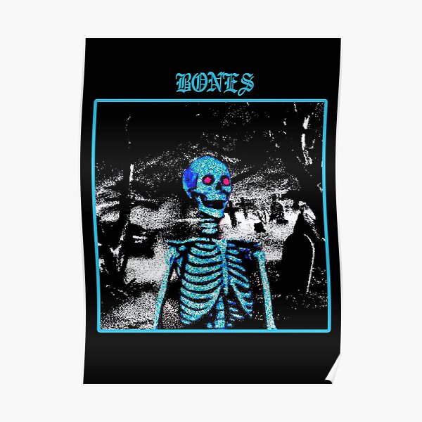 Skeleton Bones Poster