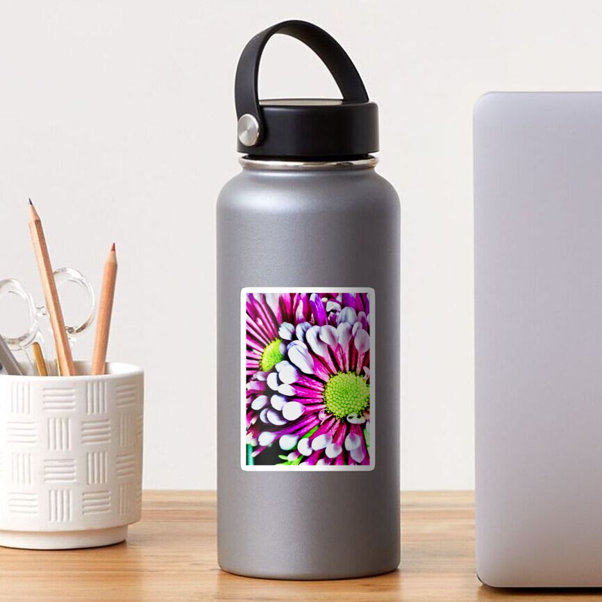 Purple Flutes Sticker