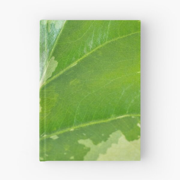Item preview, Alocasia Albo Variegata Variegated Leaf designed and sold by Chee Sim.