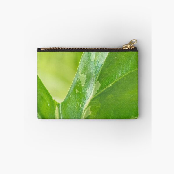 Item preview, Alocasia Albo Variegata Variegated Leaf designed and sold by Chee Sim.
