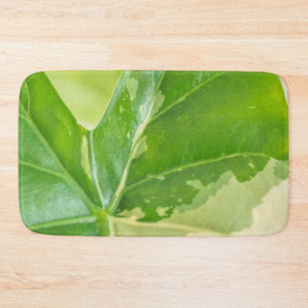Item preview, Alocasia Albo Variegata Variegated Leaf designed and sold by Chee Sim.