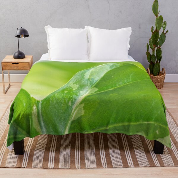 Item preview, Alocasia Albo Variegata Variegated Leaf designed and sold by Chee Sim.