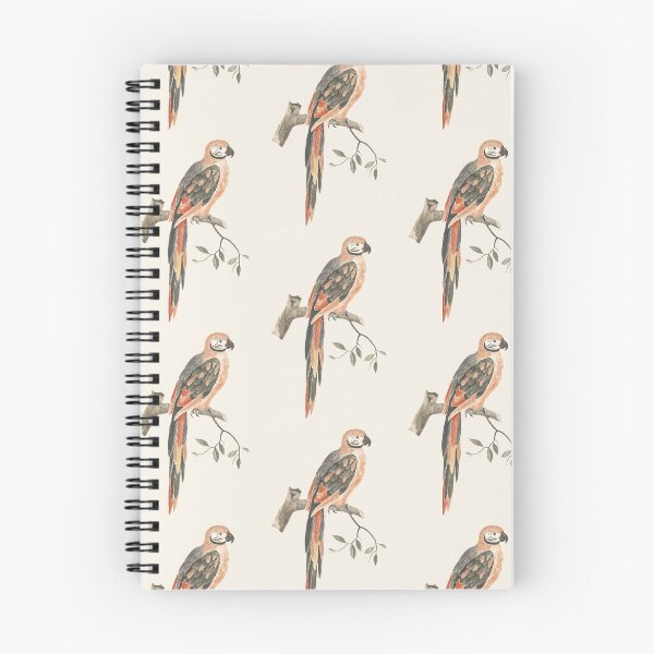 Item preview, Vintage parrot  illustration artwork designed and sold by Vintage Designs +.