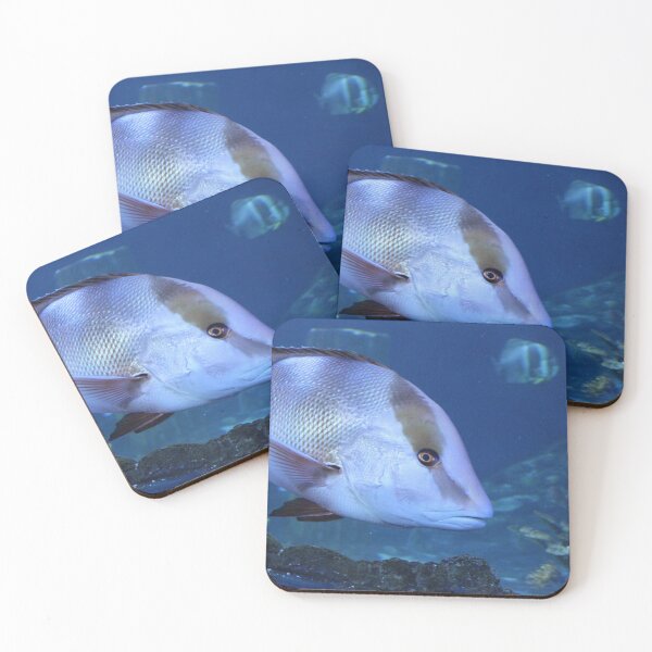 Item preview, Fish Photo designed and sold by GymWiller.
