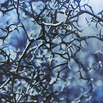 Artwork thumbnail, Spring 2020 by MBoothny
