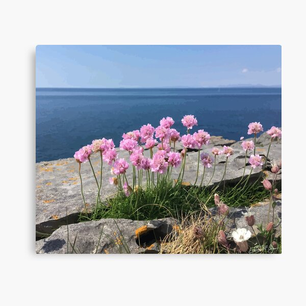 Burren Beauty Canvas Print