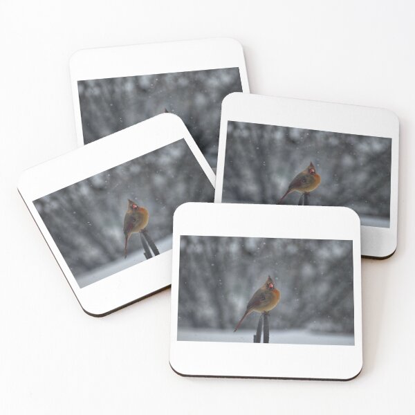 Item preview, Cardinal designed and sold by ThatRagedyFan.