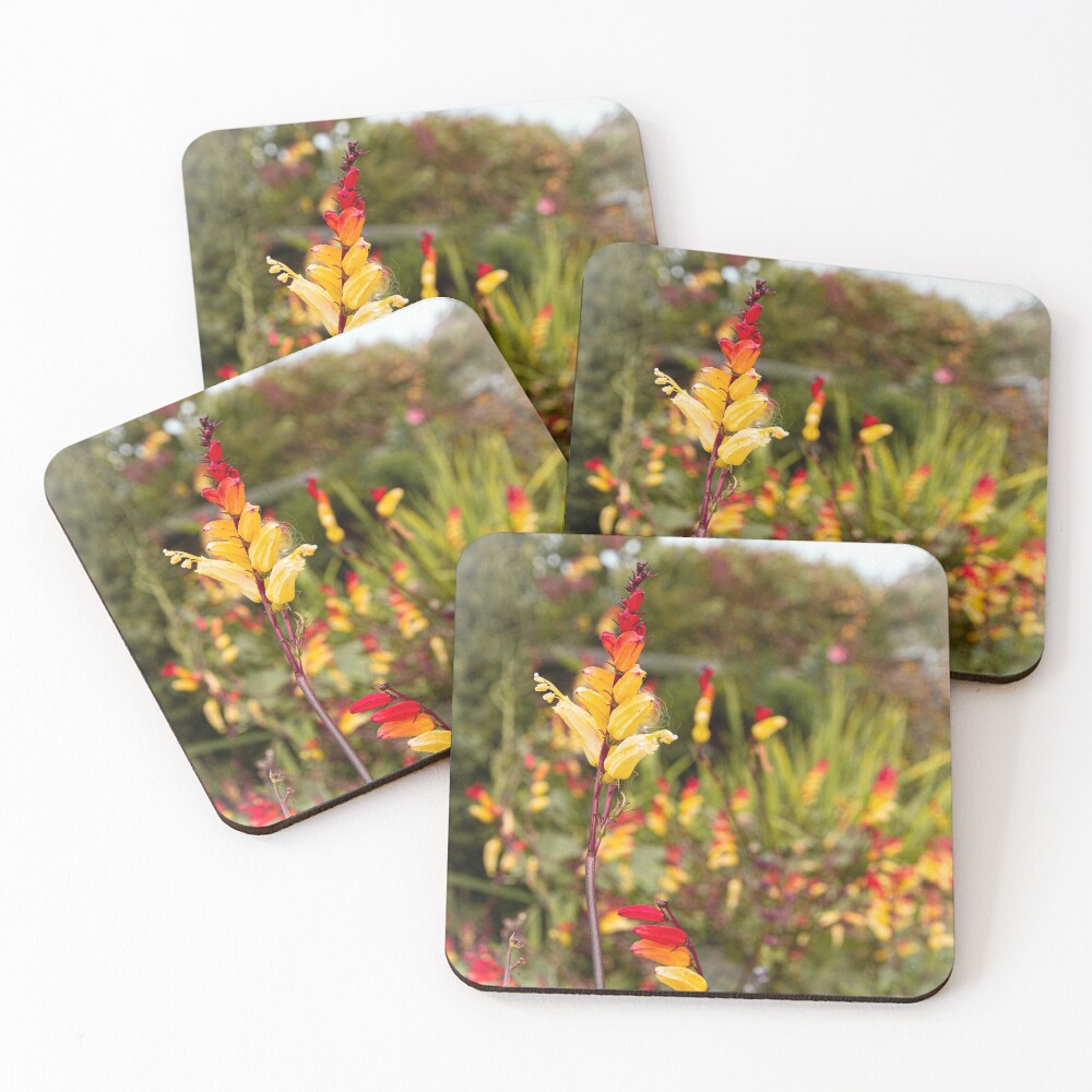 Item preview, Coasters (Set of 4) designed and sold by Rett-Hill.