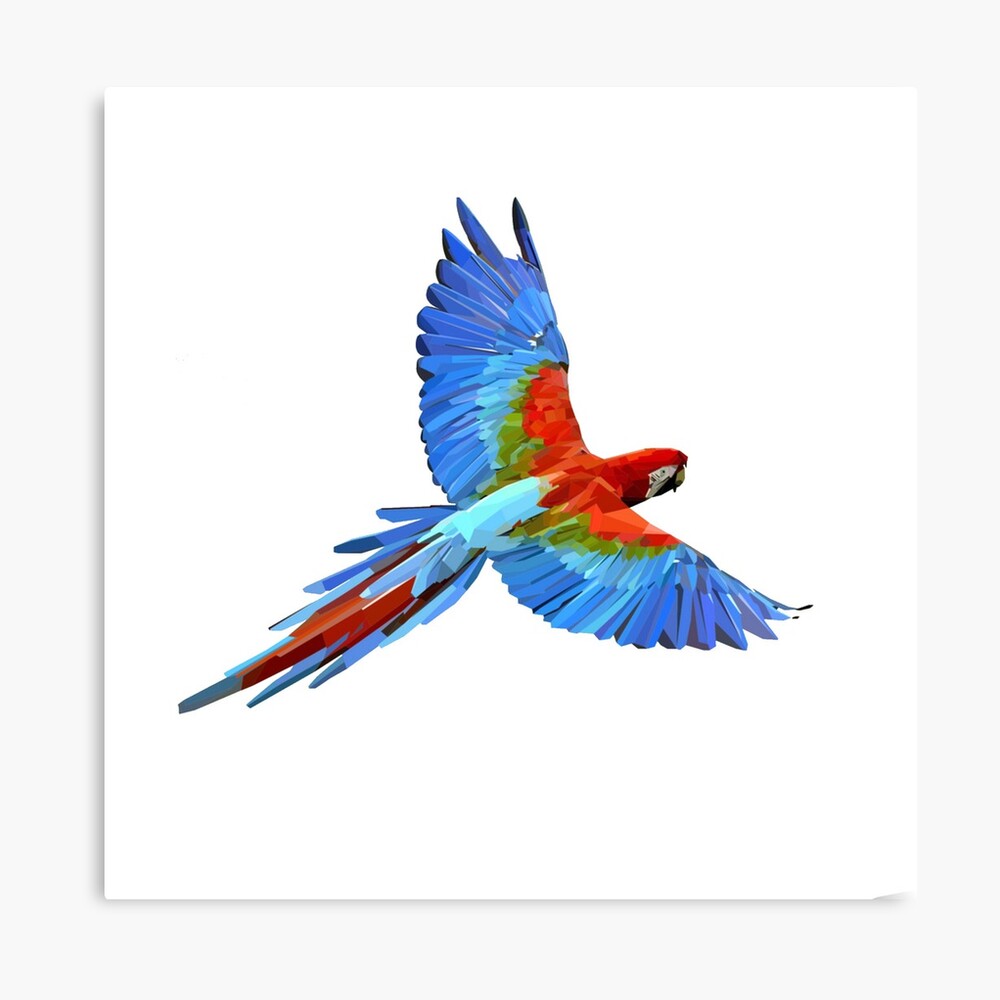 Parrot outline  Parrot drawing Flying bird drawing Bird outline