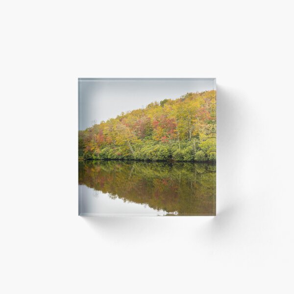 Item preview, Fall trees designed and sold by Rett-Hill.