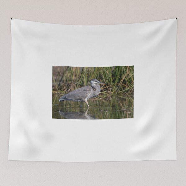 Artikelvorschau, Graureiher entworfen und verkauft von Simpsonwildlife.
