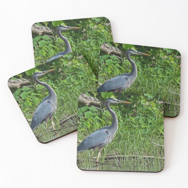 Artikelvorschau, Graureiher entworfen und verkauft von Simpsonwildlife.