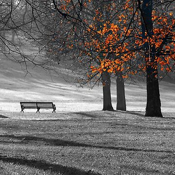 Artwork thumbnail, Greenwich Park by rogerpanart