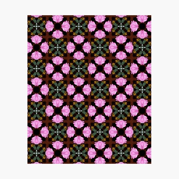 rosa Rosen Muster, abstrakt, pink Fotodruck