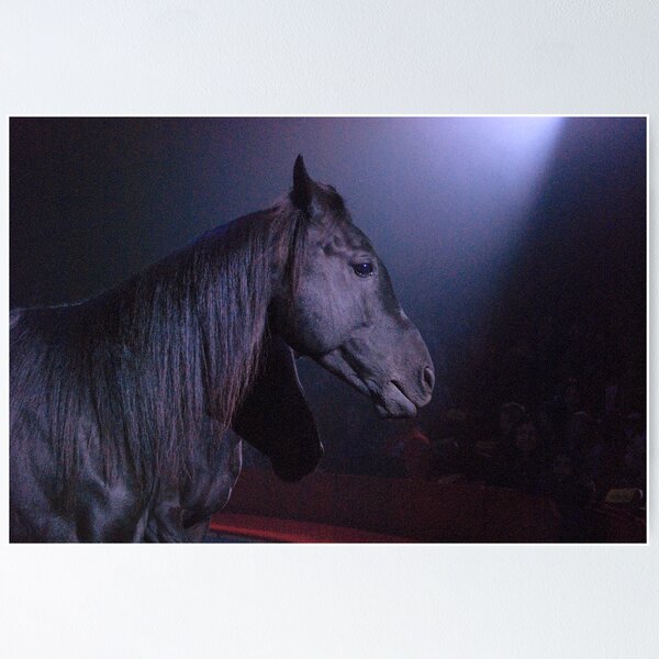 Item preview, Black Beauty designed and sold by Daniel B McNeill.