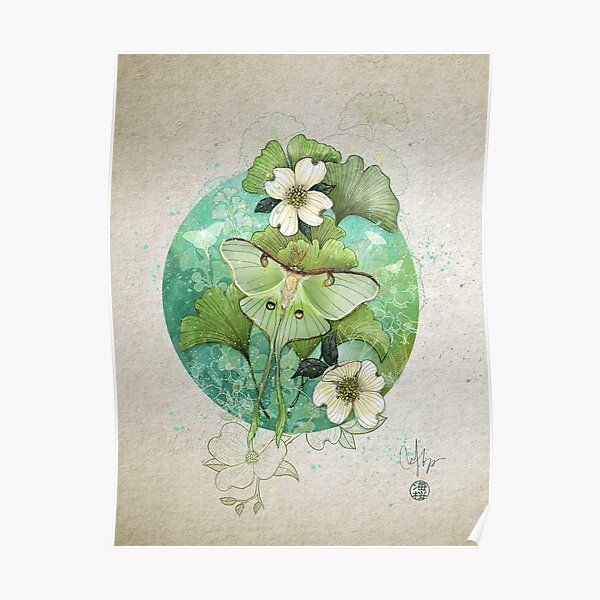 Luna Moth Poster
