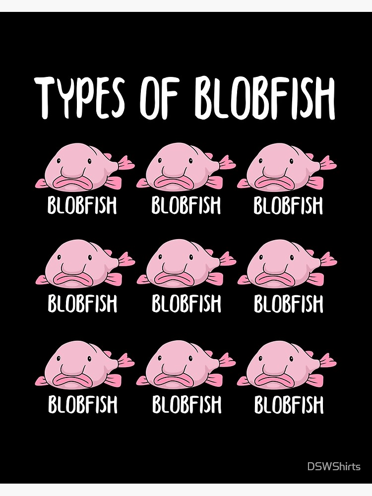 A blobfish underwater