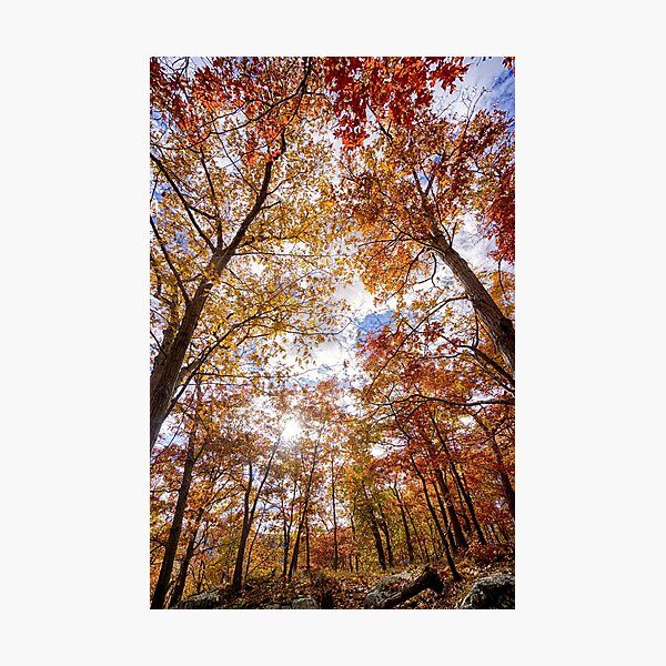 Item preview, Foliage   designed and sold by VickyGood.