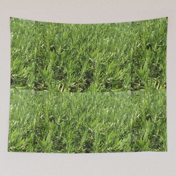 Item preview, Rosemary designed and sold by pinkal.