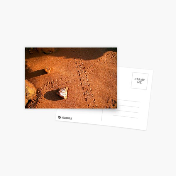 Lizard Tracks - Broome, WA. Postcard
