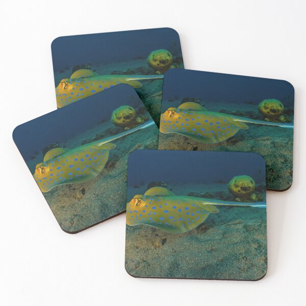 Item preview, Blue spotted stingray in the Red Sea designed and sold by yeshayad.