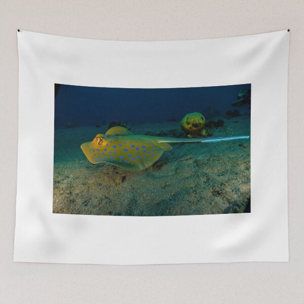Item preview, Blue spotted stingray in the Red Sea designed and sold by yeshayad.