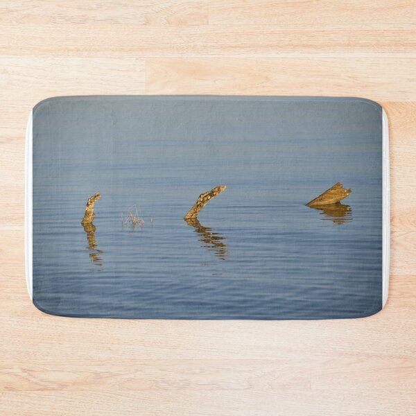 Item preview, Driftwood reflections designed and sold by Tonia Delozier's Photography .