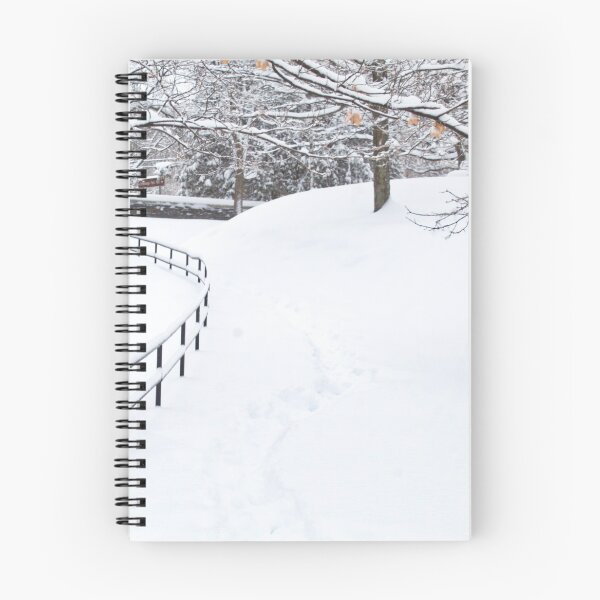 Item preview, snowy path designed and sold by dave-settle.