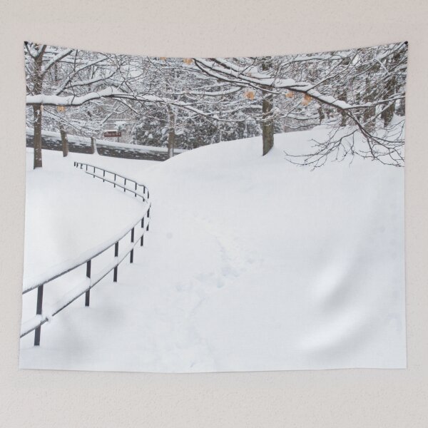 Item preview, snowy path designed and sold by dave-settle.