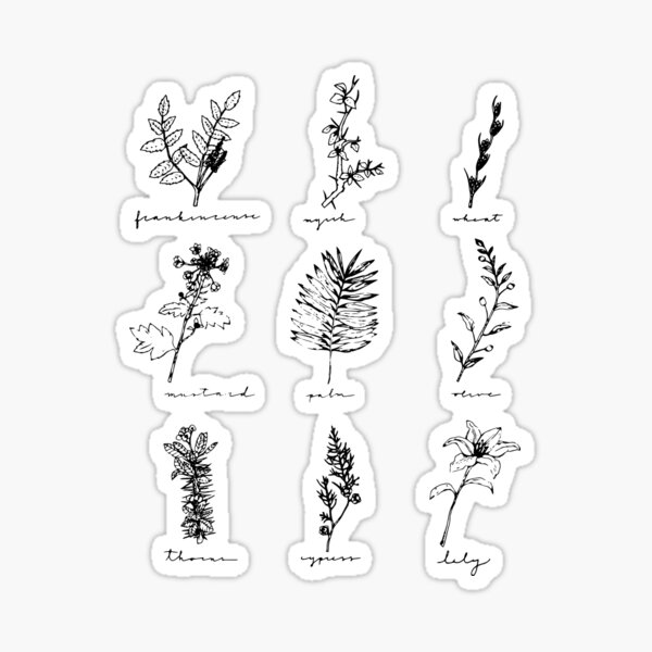Botanicals of Christ Sticker
