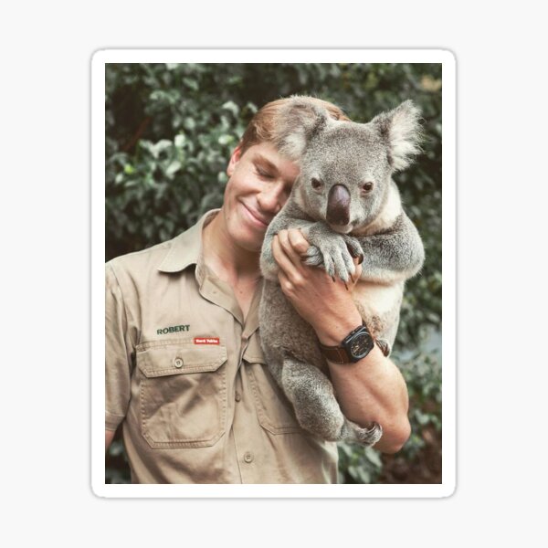 robert irwin Sticker