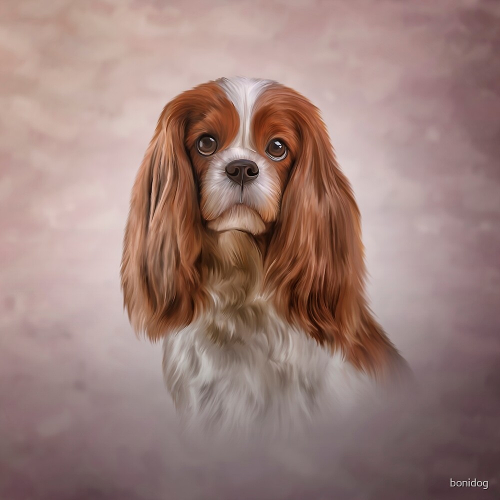 "Drawing Dog Cavalier King Charles Spaniel " by bonidog Redbubble