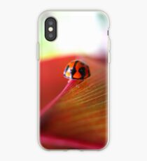 Ladybird on Cordyline iPhone Case iPhone Case