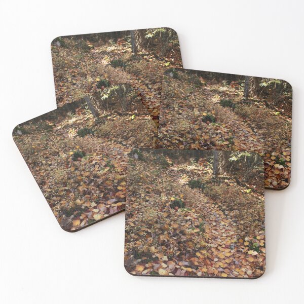 Yellow-leaf road Coasters (Set of 4)