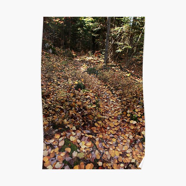 Yellow-leaf road Poster