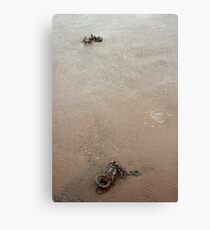 Tidal exhibits Canvas Print