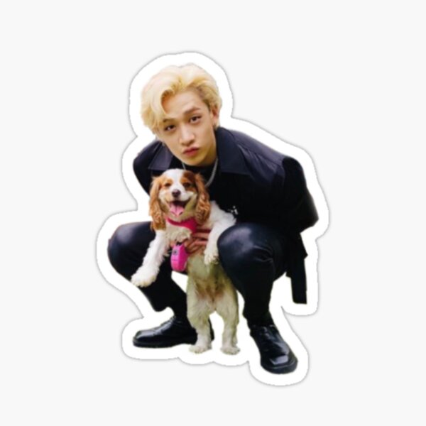 Item preview, Chan and Berry designed and sold by Cb97stay.