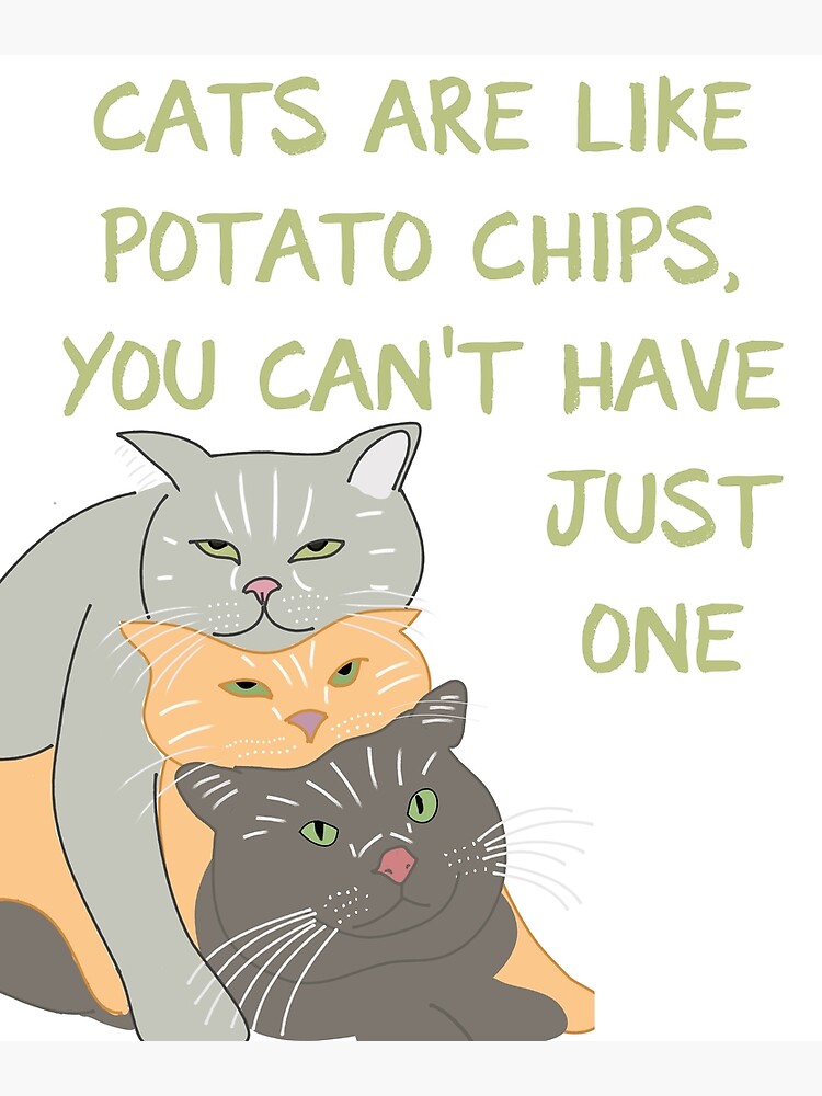 Cats Are Like Potato Chips, You Can't Have Just One