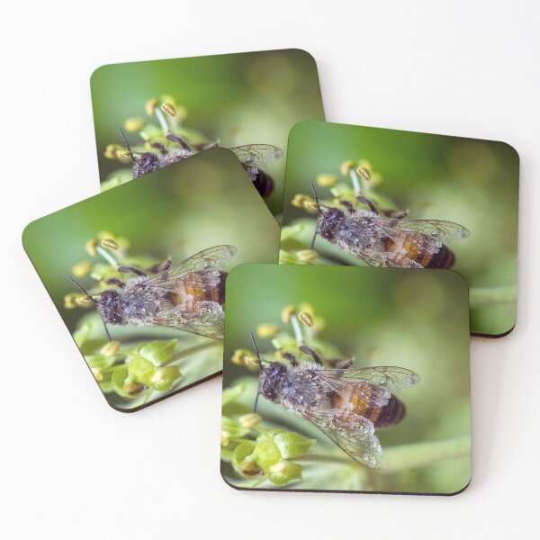 Item preview, Dew drops designed and sold by Steve Chapple.