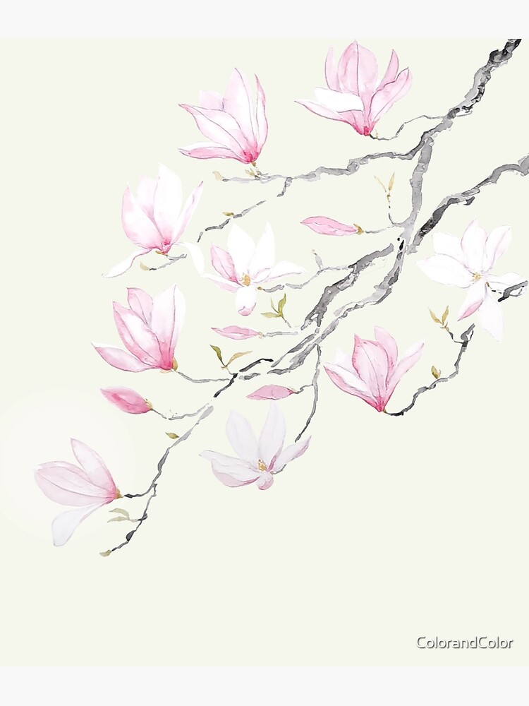Tarjetas de felicitación «Magnolia flores pintura fondo amarillo» de  ColorandColor | Redbubble
