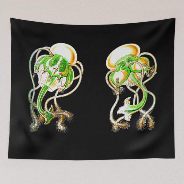 Item preview, Aegina. Hydrozoans with dome-shaped bells and tentacles set above the undulating margin.  designed and sold by Squirrox.