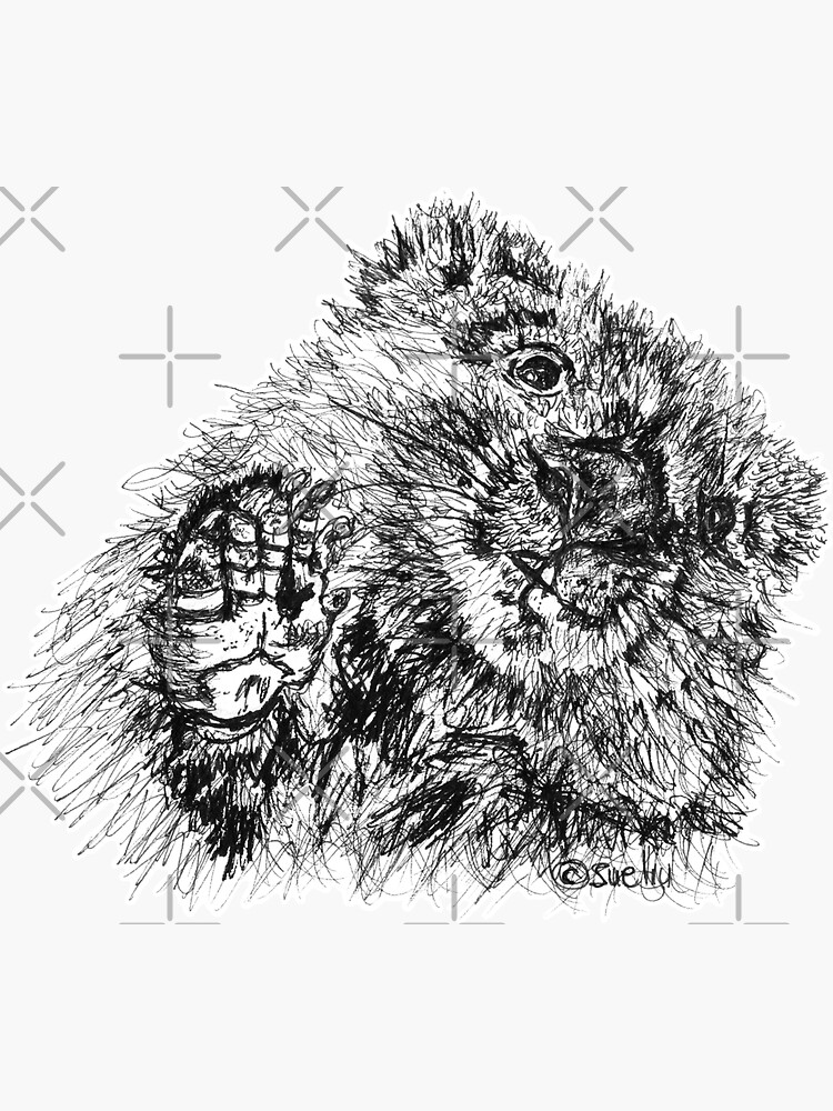 Willie the Wombat by Wildcard-Sue