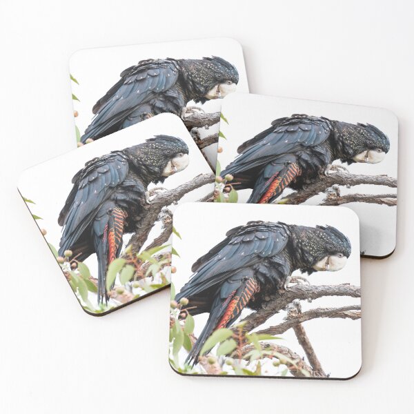 Item preview, Red-Tailed Black Cockatoo designed and sold by Ladyshark.