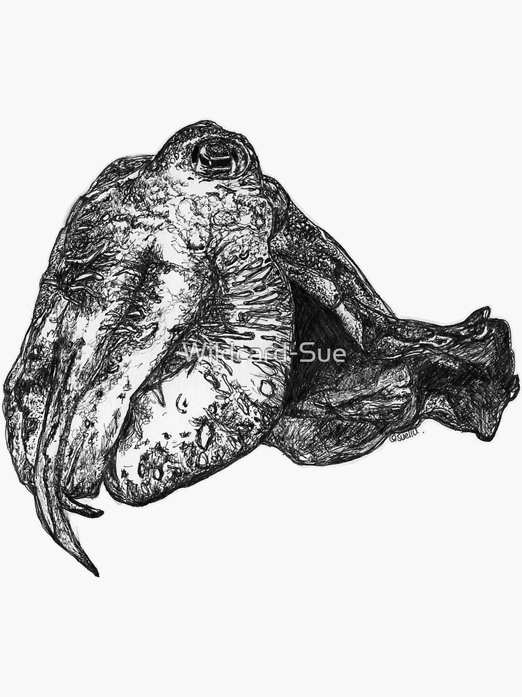 Cuddles the Cuttlefish by Wildcard-Sue
