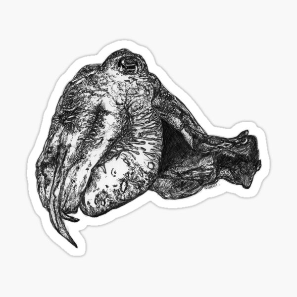 Cuddles the Cuttlefish Sticker