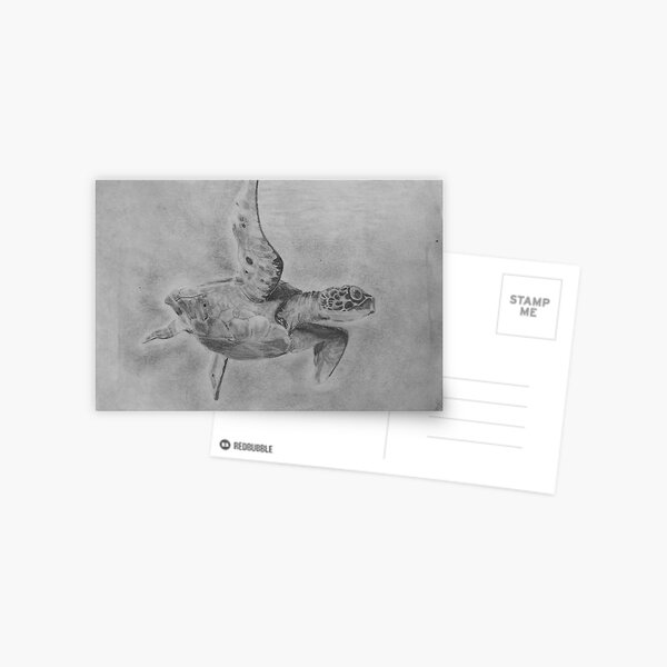 COMMON DRIFTER Postcard