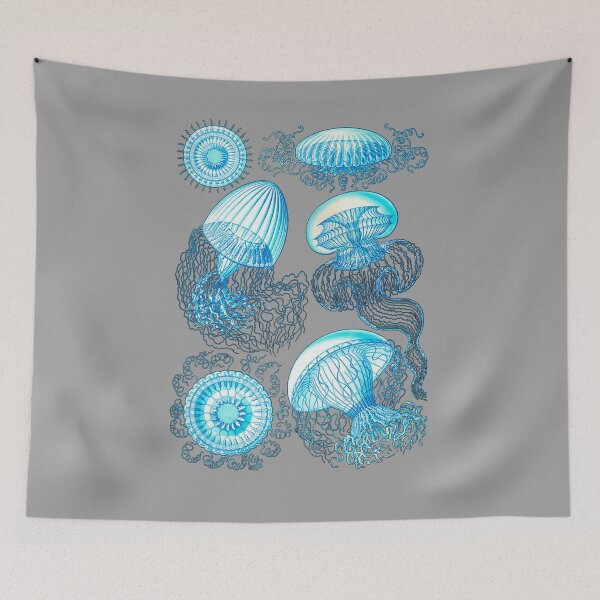 Item preview, Leptomedusae. An order of flattened, saucer-shaped jellyfish.  designed and sold by Squirrox.