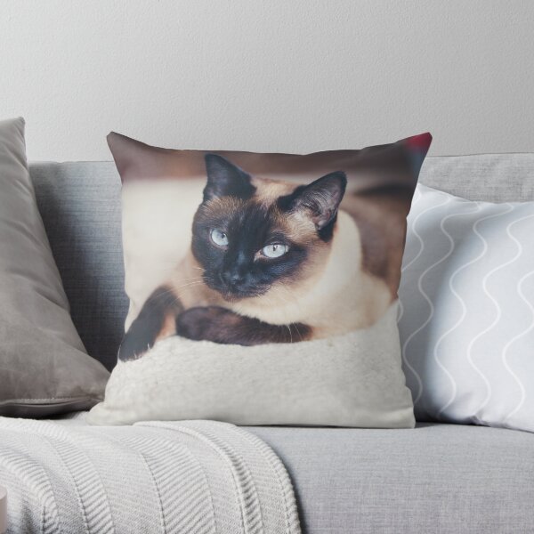 sleeping siamese cat Throw Pillow
