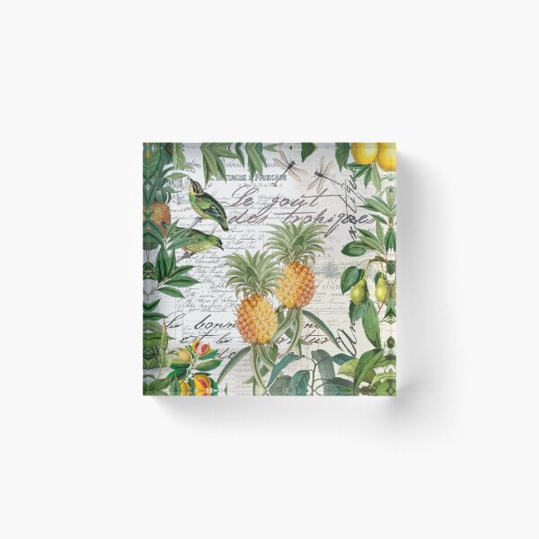 Item preview, Tropical Fruit Illustration Vintage Style designed and sold by artsandsoul.